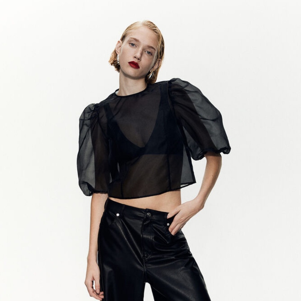 H&M Puff Sleeve Organza Top